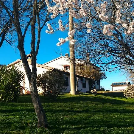 Affittacamere 